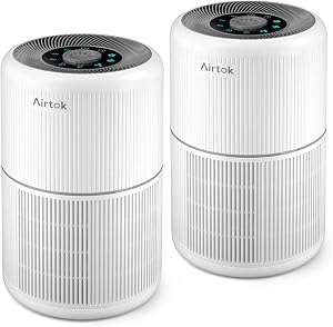 2 Pack Air Purifier for Home Bedroom with H13 True HEPA Filter for Smoke, Smokers, Dust, O