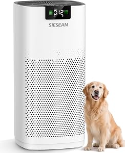 Air Purifiers for Home Large Room Up to 3720 Sq Ft, AP-480 True H13 HEPA & Carbon Filt