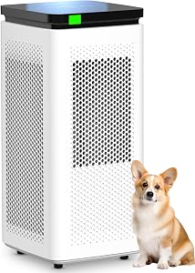 Air Purifiers for Home Large Rooms up to 3500 Ft², H13 True HEPA 0.1 Micron 99.97% Filtrat